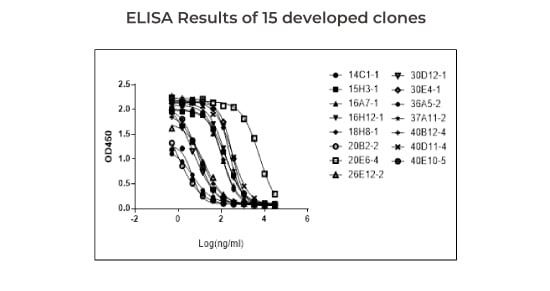 Anti-Idiotypic Antibody Application