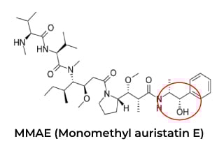 Anti-Idiotypic Antibody Application 
