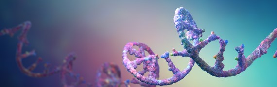 环状RNA