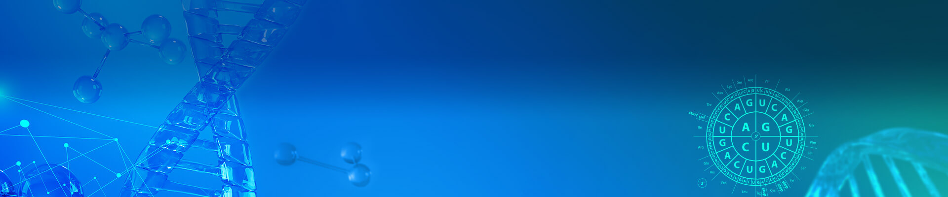 OptimumGene密码子优化