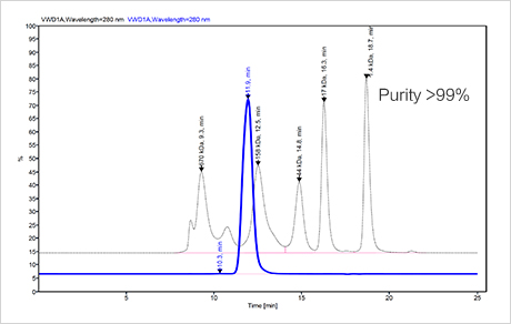 SEC-HPLC SEC-HPLC