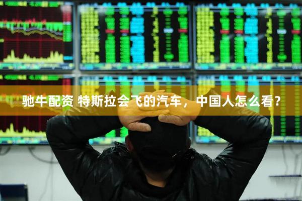 驰牛配资 特斯拉会飞的汽车，中国人怎么看？