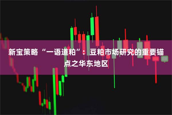 新宝策略 “一语道粕”:豆粕市场研究的重要锚点之华东地区