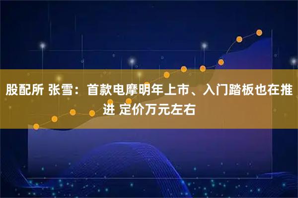 股配所 张雪：首款电摩明年上市、入门踏板也在推进 定价万元左右