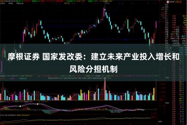 摩根证券 国家发改委：建立未来产业投入增长和风险分担机制
