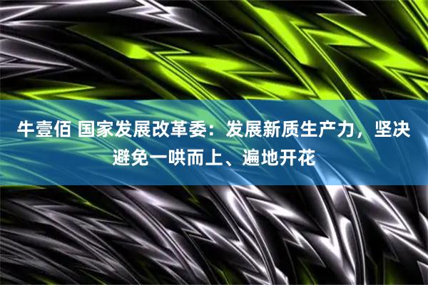 牛壹佰 国家发展改革委：发展新质生产力，坚决避免一哄而上、遍地开花