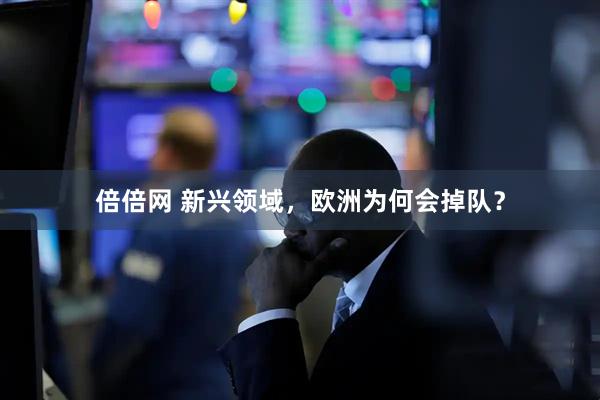 倍倍网 新兴领域，欧洲为何会掉队？
